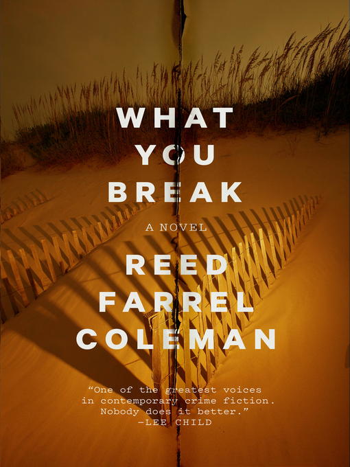 Title details for What You Break by Reed Farrel Coleman - Available